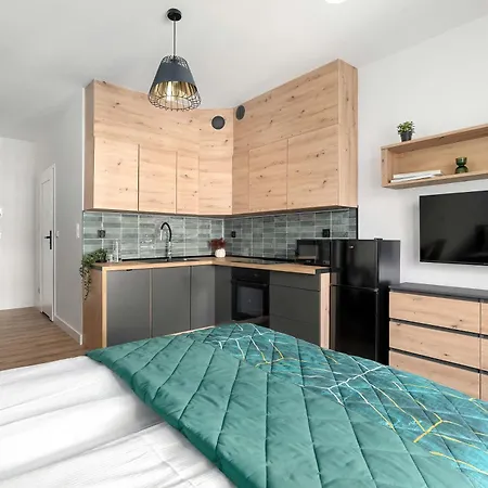 Charming In With Balcony Close To Attractions By Renters * 波兹南